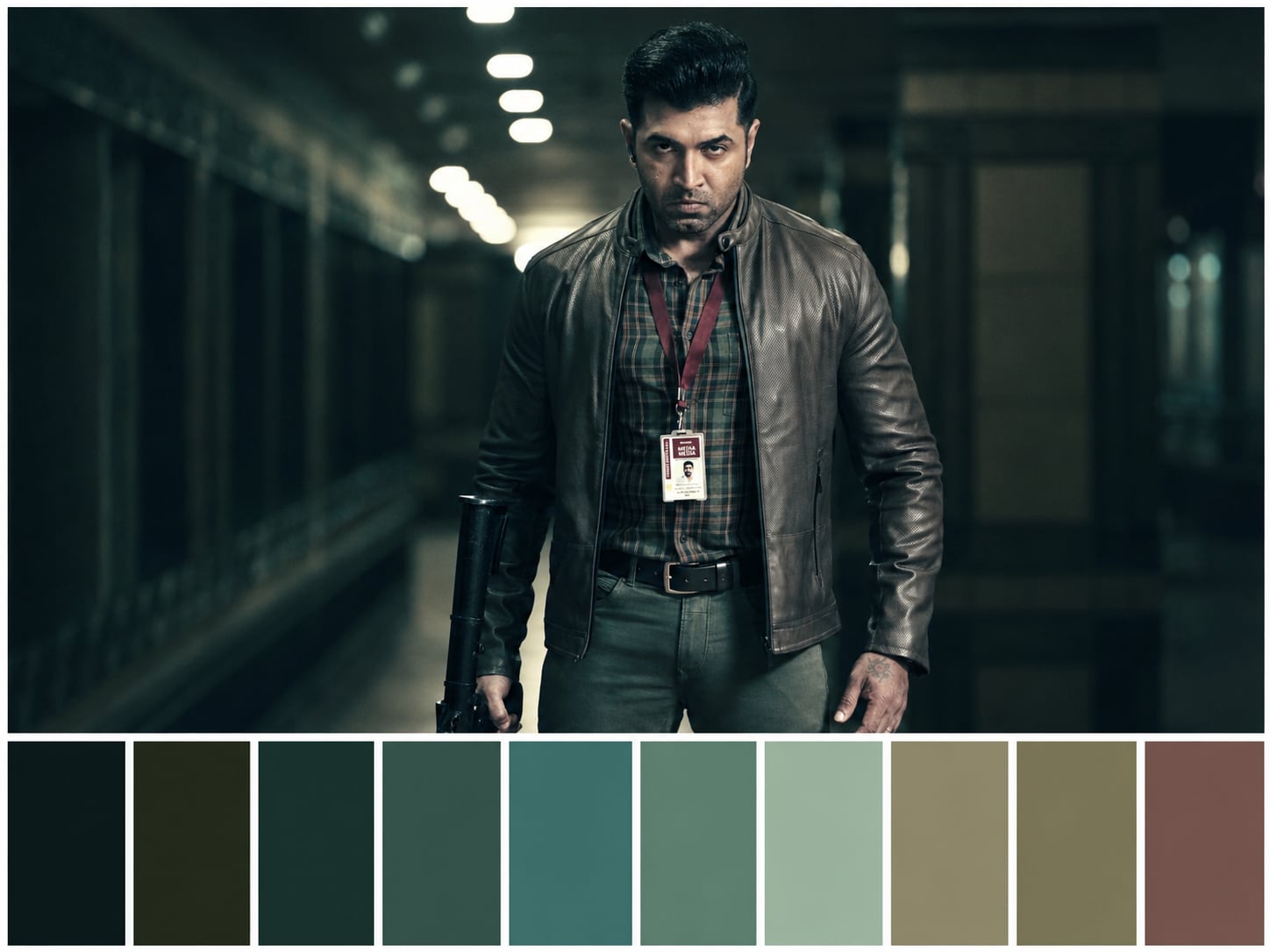 Borrder Colour Palette