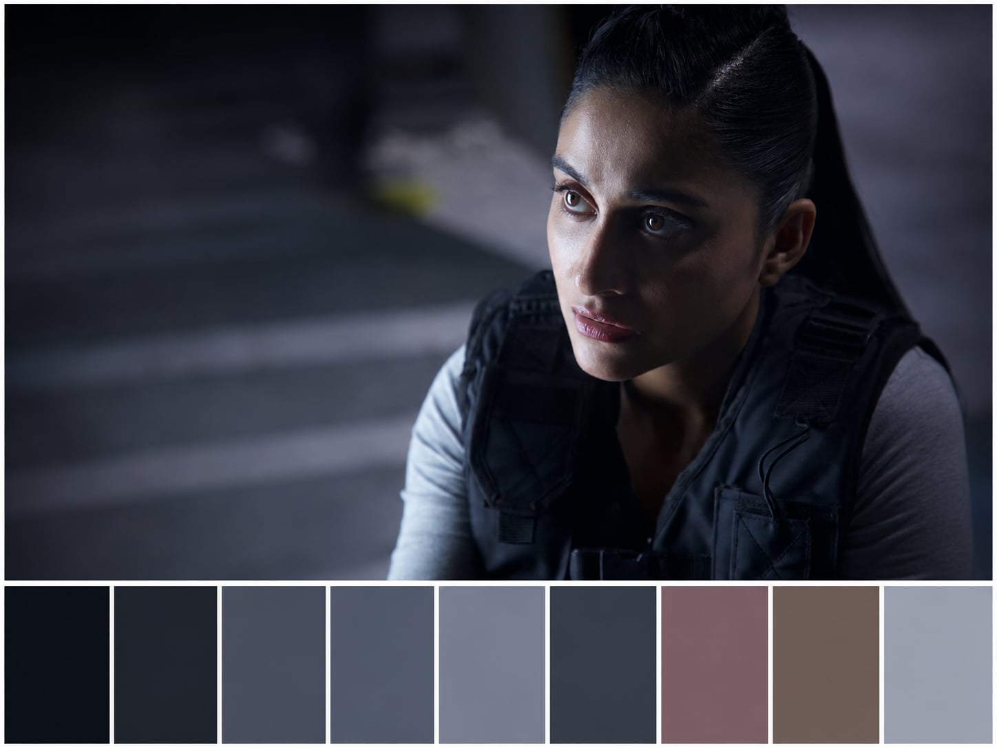 Borrder Colour Palette